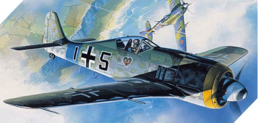 Academy 1:72 12480 Focke-Wulf Fw190A-6/8