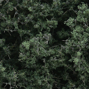 Woodland Scenics WF1130 Fine Leaf Foliage Dark Green