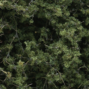Woodland Scenics WF1131 Fine Leaf Foliage Medium Green