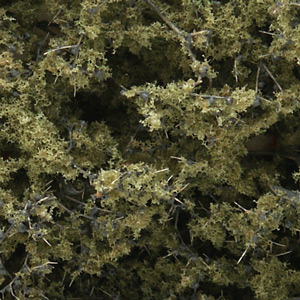 Woodland Scenics WF1133 Fine Leaf Foliage Olive Green