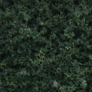 Woodland Scenics WF53 Foliage Dark Green