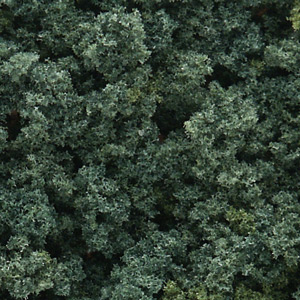 Woodland Scenics WFC137 Underbrush Clump Foliage Dark Green